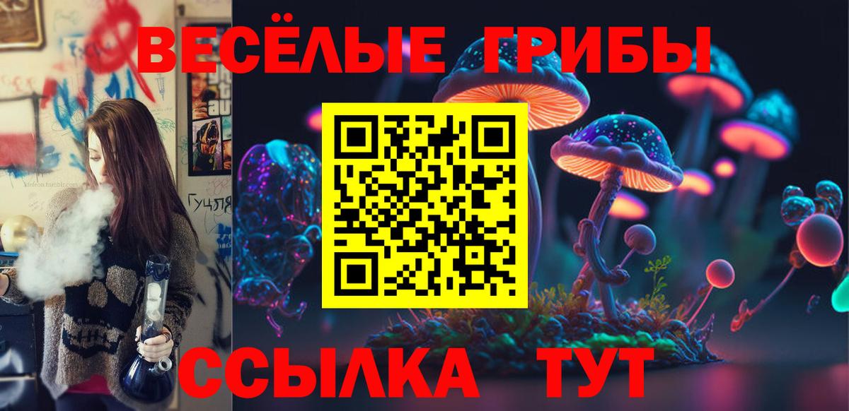 Мценск  Галлюциногенные грибы мухоморы  Вход с VPN 